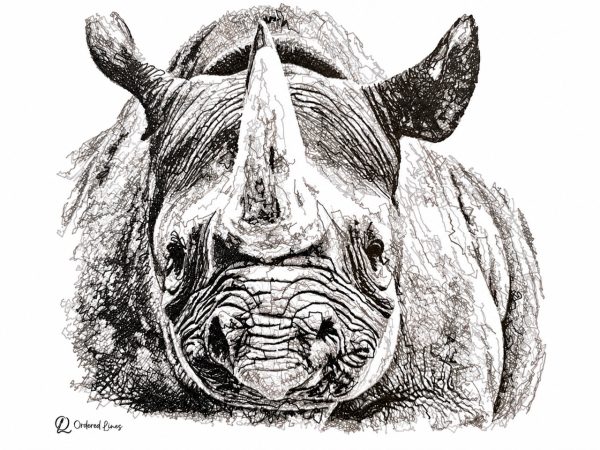 Rhino Artwork