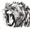 Lion Artwork